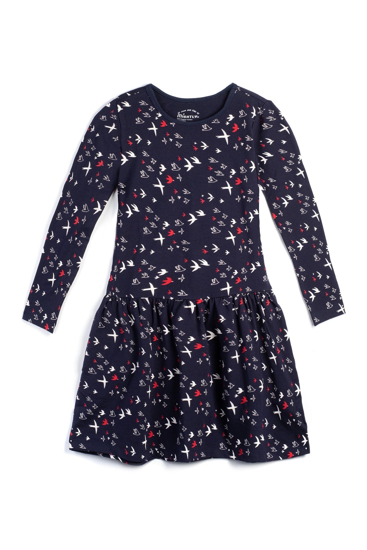 Toddler Long Sleeve Drop Waist Dress - FINAL SALE