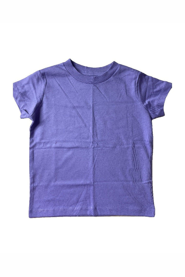 Pre-owned Shirt size: 2T